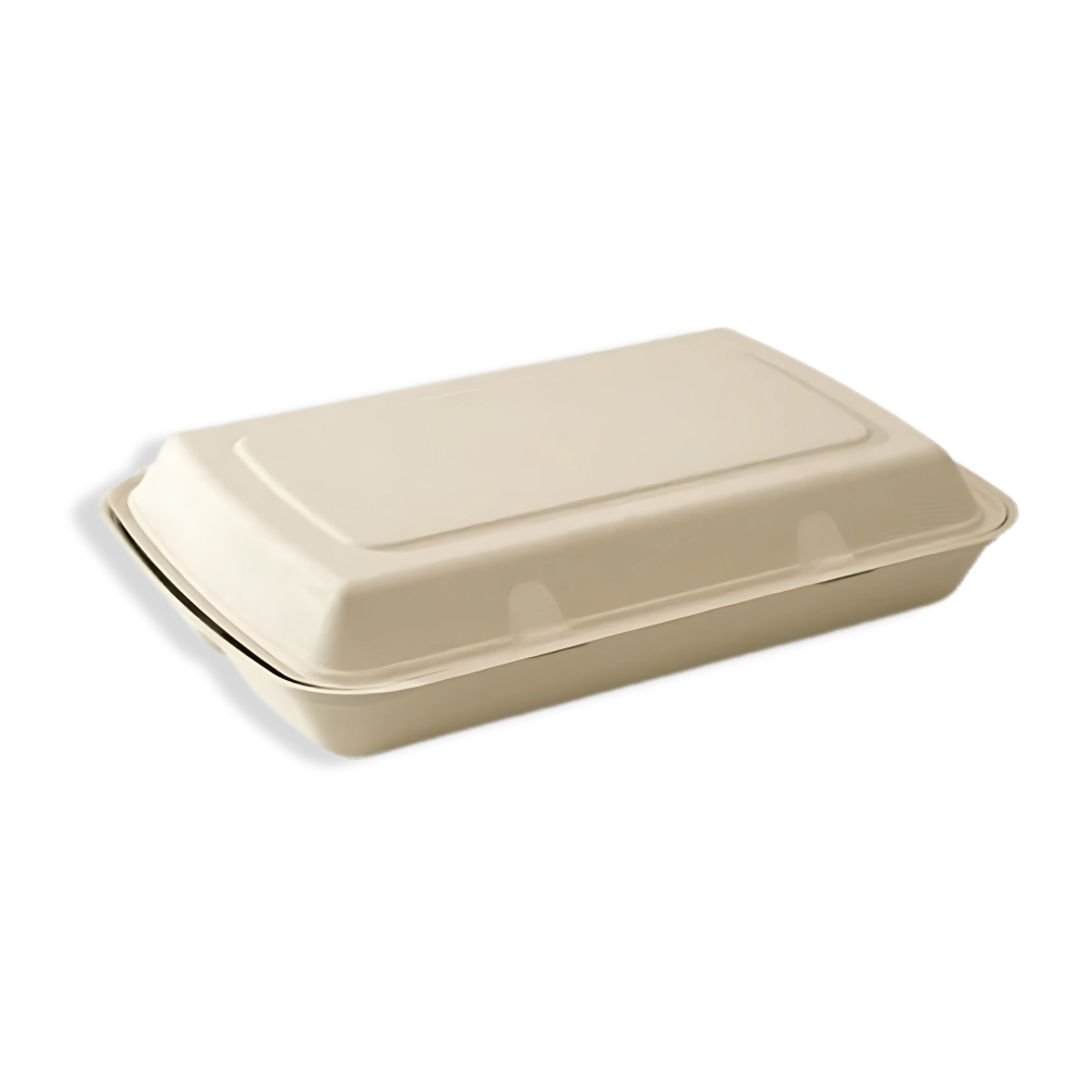 Menübox 3-geteilt L, Zuckerrohr BIO