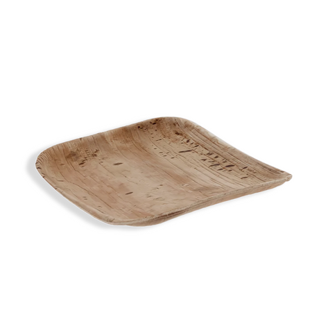 Quadratischer Palmblatt-Teller 20 × 20 cm, biologisch abbaubar, geschmacksneutral, elegant