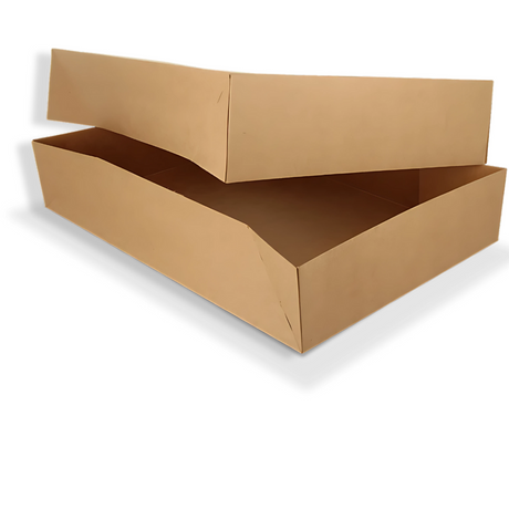 Papp-Catering-Box XL (56 × 38 × 8 cm) mit PLA-Fenster – kraftbraun, biologisch abbaubar, ideal für nachhaltiges Catering
