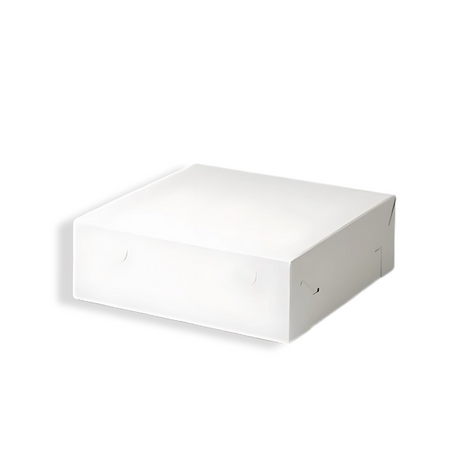 Papp-Gebäckschachtel M (25 × 25 × 8 cm) Weiß – biologisch abbaubar, robust & praktisch für Gebäck
